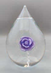 Stillabunt-paarse-roos