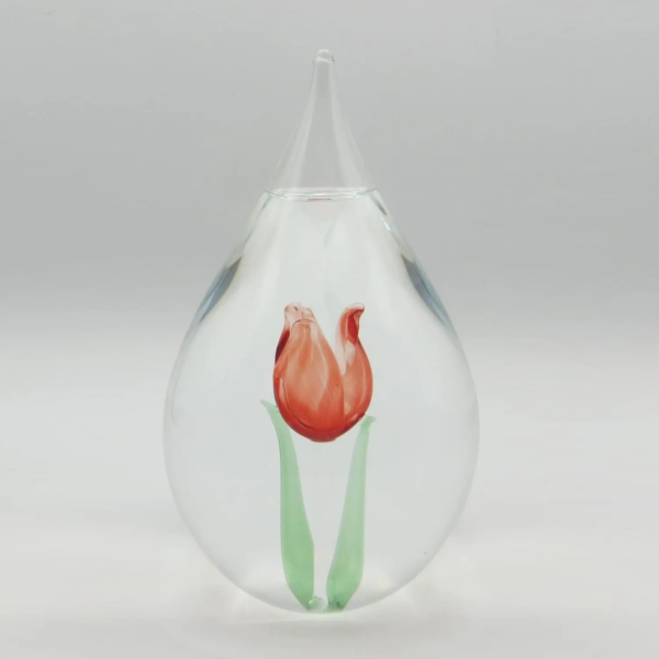 Druppel met tulp