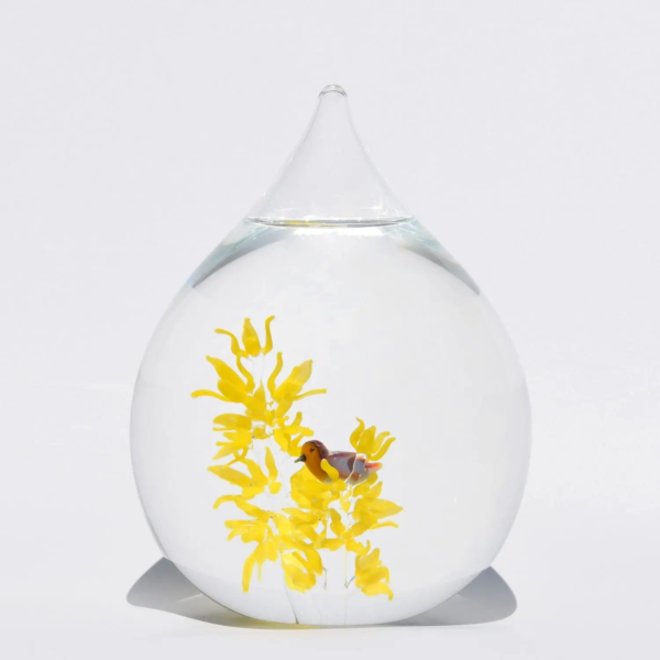 Druppel forsythia met roodborstje