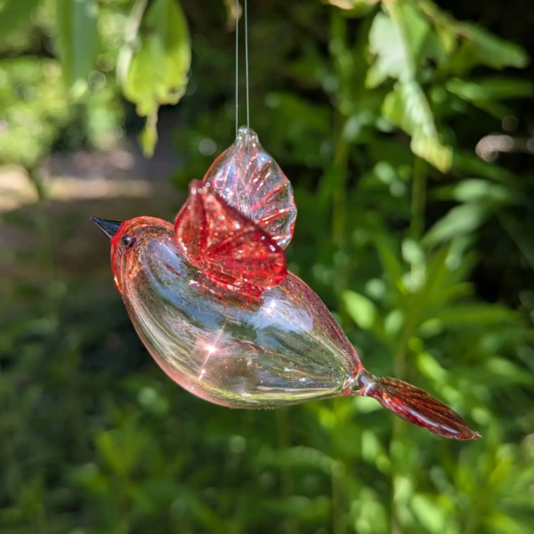 Vogel hangend