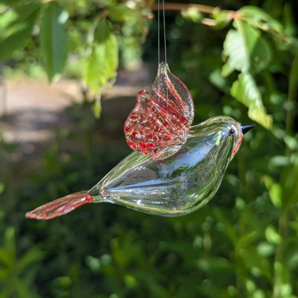 Vogel hangend - Afbeelding 2