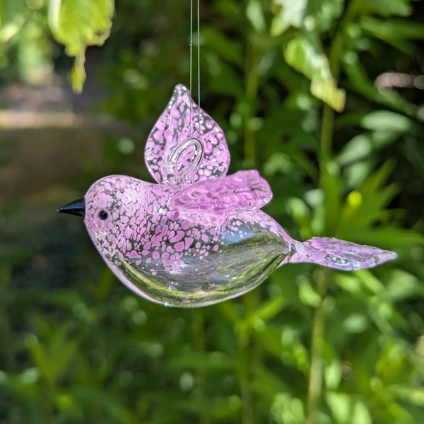 Vogel hangend - Afbeelding 3