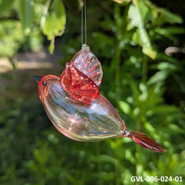 Vogel hangend