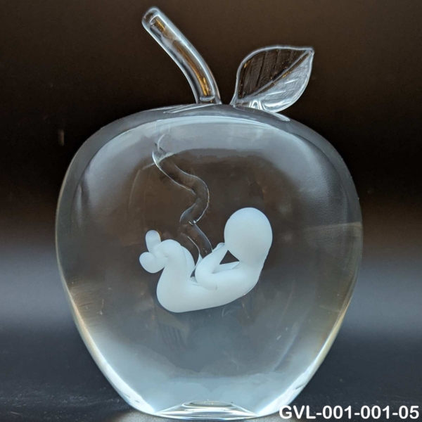 Appel met baby in verschillende variaties - Afbeelding 5